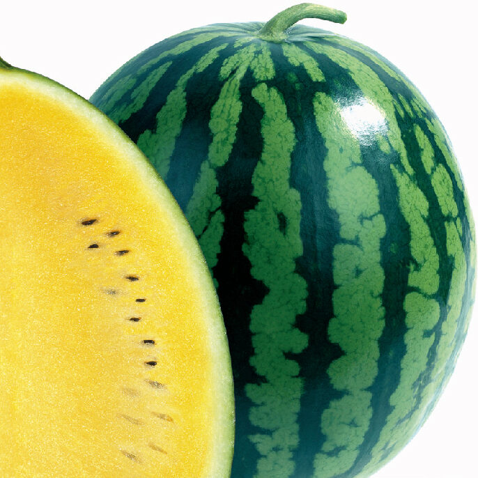 Arbūzi Orange King F1, 10 sēklas